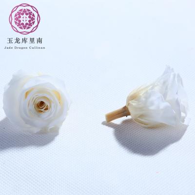 China Fashional Artificial Flowers Yunnan Culinan Factory Wholesale Preserved Flower 2-3cm White Roses For Decoration Flowers for sale