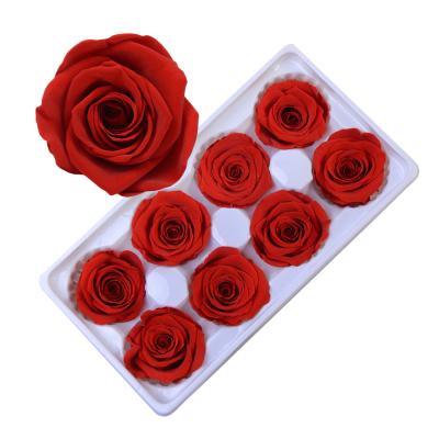 China Size 4-5 Cm Natural Super Grade Lasting Touch Flower Preserved Immortal Rose Head for sale