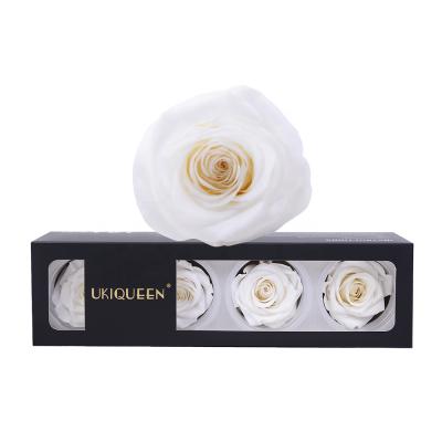 China Natural White Eternal Lasting Flower 6 Rose Head 7cm Preserved Real Touch Vlentines Day Forever for sale