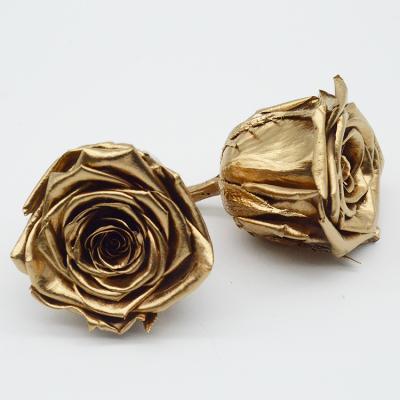 China Factory Wholesale 5-6cm Natual Contact Yunnan Culinan 5-6cm Preserved Gold Natural Roses From Factory For Decoration Rose for sale