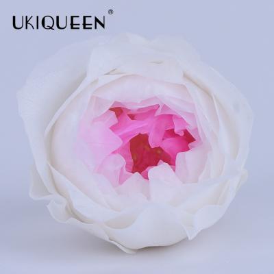 China Natural Natural Flower David Austin Roses Preserved Eternal Touch Peony Directly Selling3-4-5-6cm From Touch UKIQUEEN From Real Factory for sale