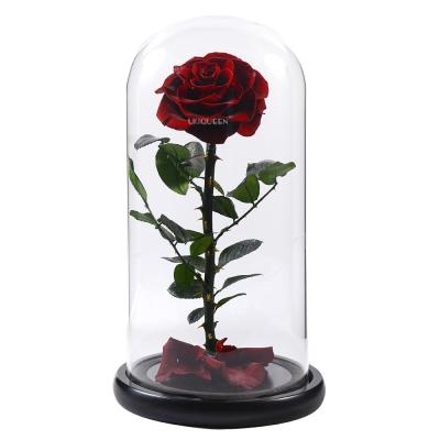 China Original Bridal Bouquets Factory Wholesale Price Beauty and the Beast Eternal Flower Preserved Roses in Glass Dome for sale