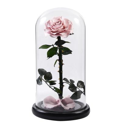 China Hot Selling Natural Long Lasting Khaki Rose Bridal Bouquets Real Preserved Flowers Dome Glass Eternal Roses For Wedding for sale