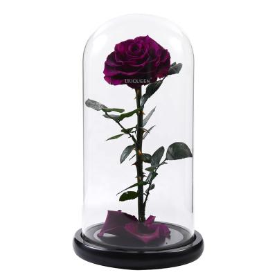 China Mini Rose Dome Glass Preserved Everlasting Noble Purple Flower Valentine's Day Bridal Gift Bouquets In Glass Tube Flower for sale