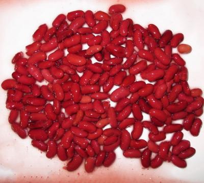 China 400g Canned Canned Kidney Bean Red Best Selling Canned Kidney Kidney Beans for sale