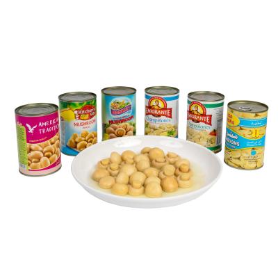 China Hot Sale Factory Price Canned Canned Food Mushroom Canned Whole Button Mushroom In Box for sale