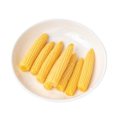 China Canned Hot Selling Fresh Crop Canned Baby Corn With Private Label for sale