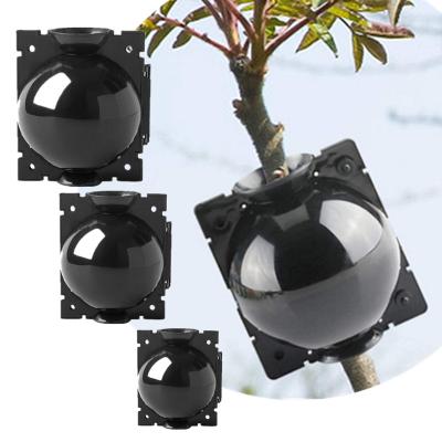 China Durable Reusable High Pressure Plant Root Propagation Box Rooting Ball Growing Device For Asexual Plant for sale