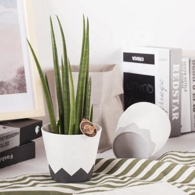 China Modern High Quality Geometric Novelty Indoor White Assorted Colors Plastic Resin Plants Desktop Pots Small Size Planter for sale