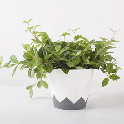 China Modern Home Decor Interior Exquisite White Geometric Novelty Plastic Classic Customized Plant Light Pots Large for sale