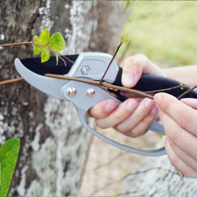 China High Quality Anti-skid Non-slip Non-slip High Quality Non-slip Farm Farm Tools Cheap Price Handle Stick Scissors Ratchet Grape Tree Branch Tree Branch Portable Gunting Shears for sale