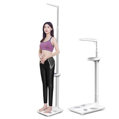 China Medical Body Fat/Body Machine Body Water Height/Muscle/Weight Bone Health Digital Scale/Calories/BMI/Height/Weight with Blood Pressure and Heart Rate Measurement for sale