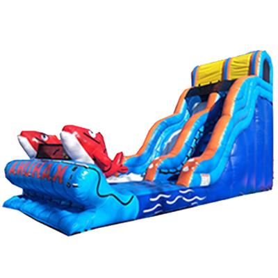 China Factory Customized Inflatable Slide Kids Paradise Inflatable Water Slide For Sale Hld1224 for sale