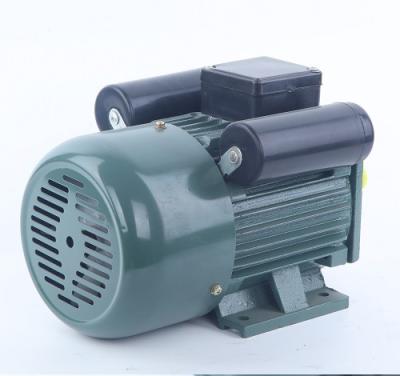 China CE Approved YL Motor Motor Totally Enclosed 60Hz With Cast Iron Housing for sale