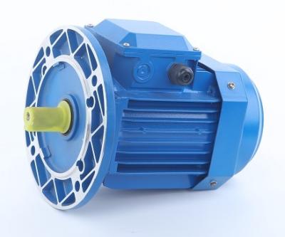 China Totally Enclosed Y2 Series Three Phase Electric Motor With IEC Standard for sale