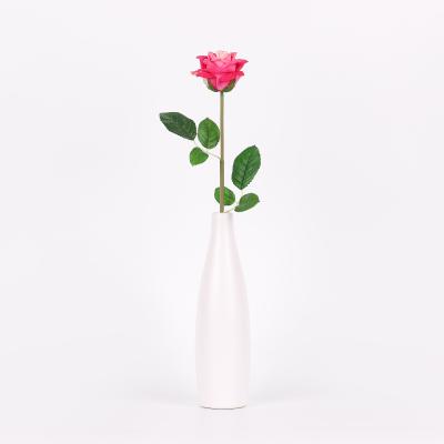 China Wonderful Artificial Roses Birthday Decoration Real Roses Gift AMK Ornaments Touch Flowers for sale