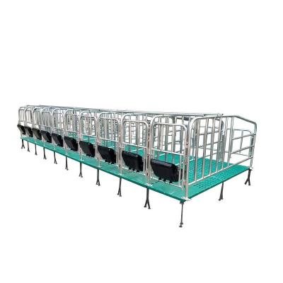 China Farms Factory Direct Pig Placing Columncage Livestock Equipment Gestation Pig Pen Sow Placing Rod for sale