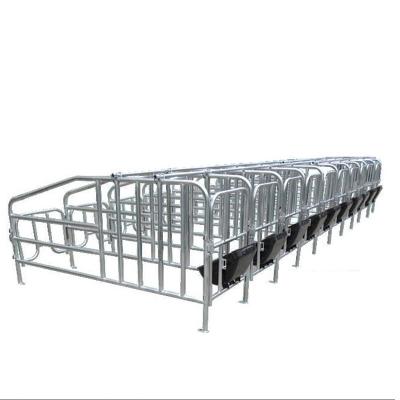 China Farms Pig Breeding Equipment Hot Galvanized Stalls Gestation Placing Column For Sows Pig Placing Column for sale