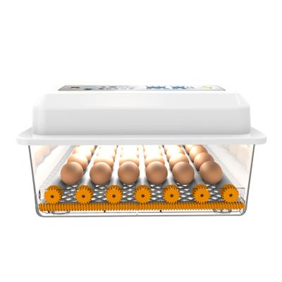 China Newest Design Poultry Egg Incubator Hatchery Equipment Household 24 Egg Incubator For Family Used For Sale for sale