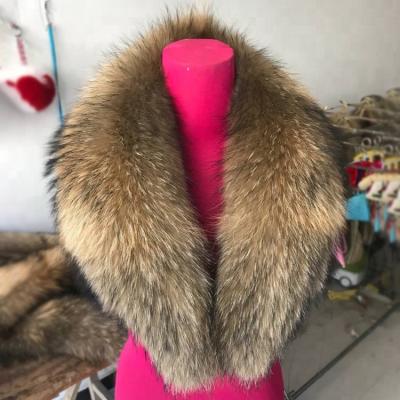 China Europe Real Europe Fur Trim Color Natural Raccoon Fur Collar Oversized for sale