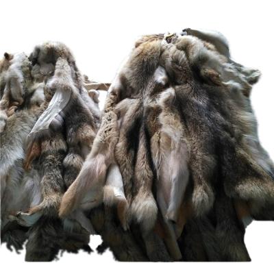 China Genuine Smooth Tan Coyote Fur High Quality Animal Skin Soft Natural Balance for sale