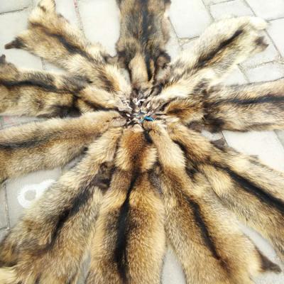 China Real Smooth Smooth Raccoon Fur Pelt Skin for Fur Coat and Collar for sale