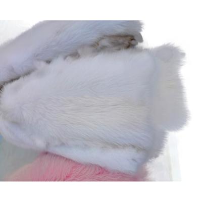 China Hot Selling Natural White Raccoon Fur Skin Eco-friendly Low Price Eco-friendly Real Online for sale