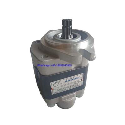 China 10L77-10201 hydraulic pump for TCM FD30 engine 10L77-10201 hydraulic pump since 1956 Hefei Liwei C240 ​​PKJ for TCM FD30 for sale