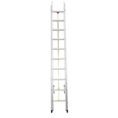 China Folding Ladders Adjustable Waist Extension Ladder Combination Universal Folding Step Ladder for sale