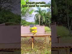 60wPortable Solar Panel