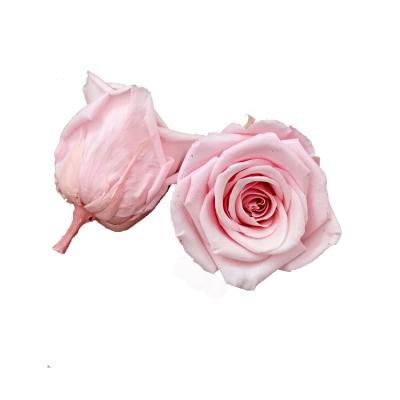 China Making Gift Box 2021 Mothers Day Gifts Preserved Roses Flower Head Eternal Rose Eternal Rose Preserved Flower Head for sale