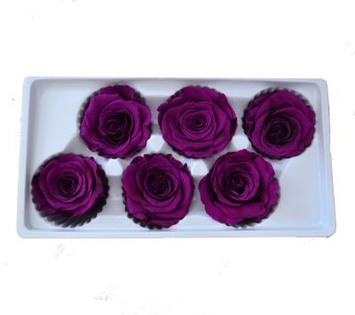 China Making Gift Box Real Preserved Roses Soft Touch Natural Immortal Ecuador Forever Preserved Roses Real Roses Preserved Flowers For Wedding for sale