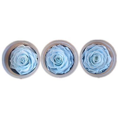 China Eternal Rose Flower Wall Decor 7-8cm Home Decor Mother's Day Forever Rose Decoration 2021 For Birthday Anniversary Gift for sale