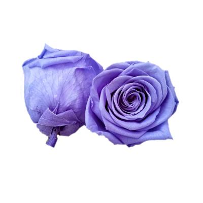 China Making Gift Box New Arrival Preserved Flower 5-6cm Preserved Rose Head For Decoration Or Gift for sale