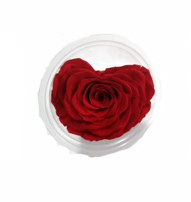 China Wholesale Custom Type 9-10 Cm Mother's Day Flower Eternal Flower Preserved Rose Head for sale