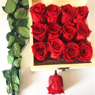 China Real Preserved Flower Eternal Rose Head of Rose Party Home Decoration DIY by Real Fresh Layout for sale