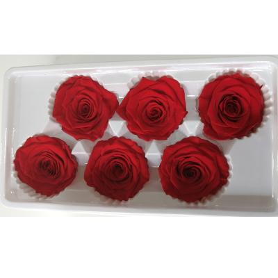 China Making Gift Box Wholesale Eternal A Grade Wedding Decoration Valentine's Day Gift Immortal Rose Head 5-6cm Rose Head for sale