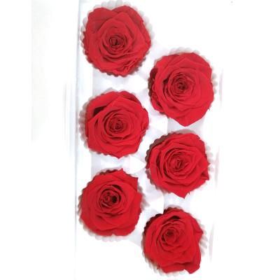 China Manufacture Gift Box 5-6cm Chinese Natural B Grade Immortal Flower Head Of The Real Preserved Rose With Low Price for sale