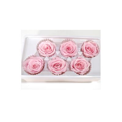 China Wholesale B-Grade Multicolor Immortal Eternal Eternal Stable Preservation Gift Box Manufacture Rose for sale