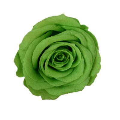 China Celebration New Product Gift Ideas Rose Flowers Forever Lasting Dry Natural Flower Preserved Rose Head 6-7 cm for sale