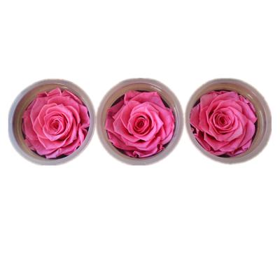 China DIY to Wedding & Yunnan home decoration wholesale kainaking eternal flowers rose head for sale