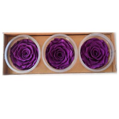 China DIY to Wedding & wholesale home decoration wedding rose multi colored preserved rose to florist for sale