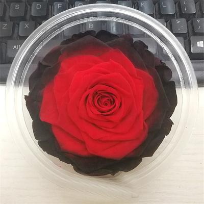 China Performing gift box 2021 hot sales large rose buds wholesale category 9-10 cm natural preserved rose for sale