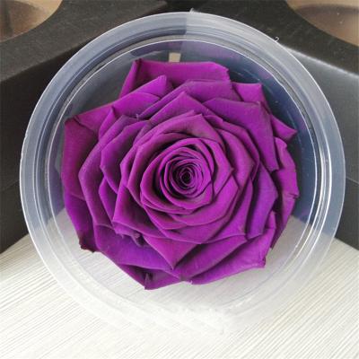 China Mother's Day Wholesale Preserved Roses 10cm Flower Heads for sale