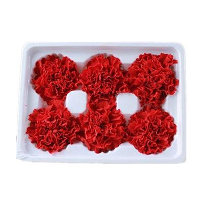 China Kunming Touch Coupon Factory Price Real Natural Gift Preserved Carnation For Mother's Day for sale