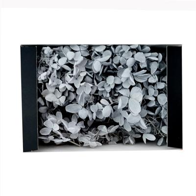 China Natural Touch Gray Real Natural Preserved Flowers Cheap Preserved Artificial Hydrangea Hydrangea Flower for sale