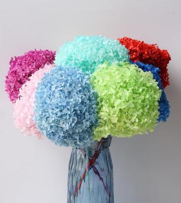 China Natural High Quality Preserved Stem Touch 20cm Hydrangea For Indoor Decoration Hydrangea Flowers for sale