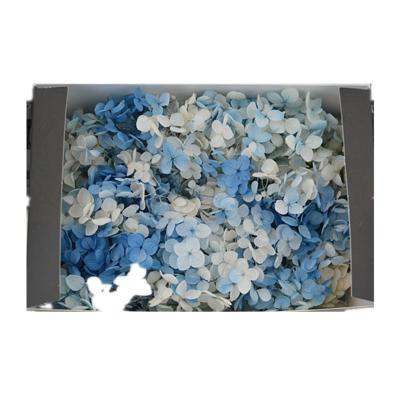 China DIY to Wedding & cheap artificial hydrangea flower Anna hydrangea home decoration Yunnan best quality for sale