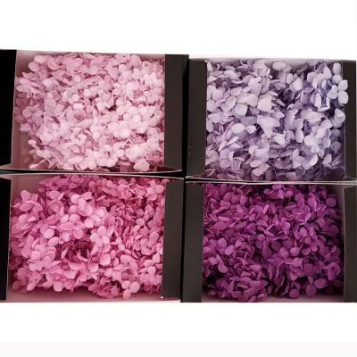 China High quality natural touch Anna Preserved Hydrangea pink color for wedding decoration for sale