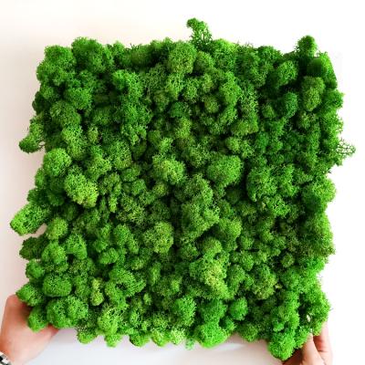 China China Eco-friendly Most Popular Different Types Preserved Moss Wall Green Moss Panel For Landscape Decoration for sale